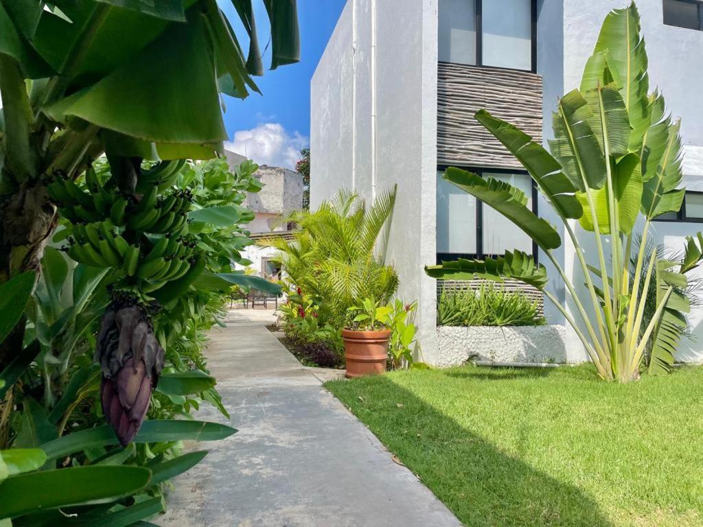 Aldeazul By Andiani Travel Apartamento Cancún Exterior foto